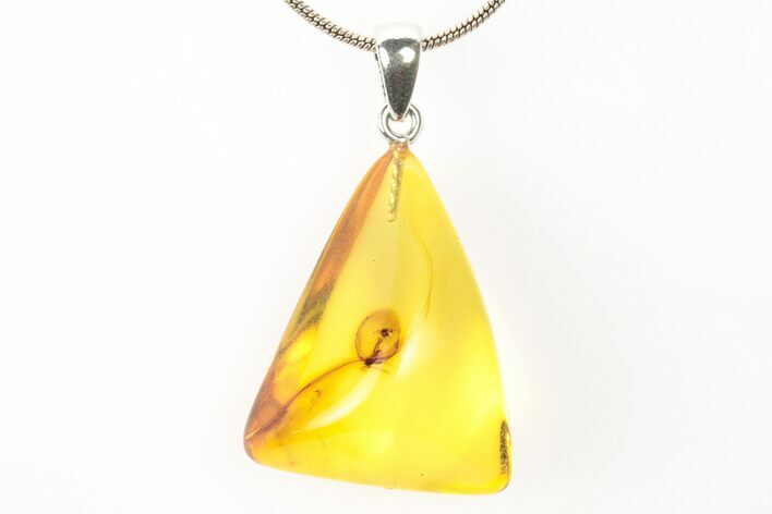 Polished Baltic Amber Pendant (Necklace) - Contains Fly! #273384